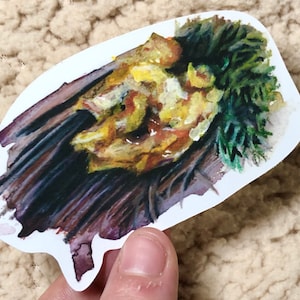 Witches Butter Slime Mold Sticker / Arte de hongos / Regalos para hombres al aire libre / regalos para excursionistas / pegatinas de botellas de agua / regalo para amantes de los hongos / arte
