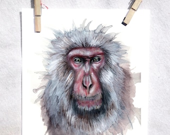 Japanese Macaque Watercolor Art Print | Signed Wildlife Painting