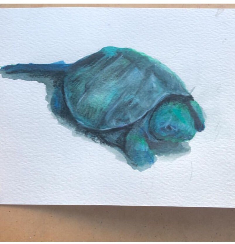 Snapping Turtle Art Print - Etsy