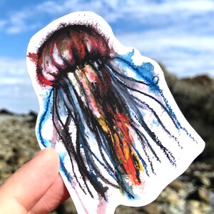Rainbow JellyFish Sticker | Jelly Fish Art | Jelly Fish Art Print | Ocean Sea Life aart | Ocean Lover Cadeau's | Wandelen Sticker | Reiscadeaus