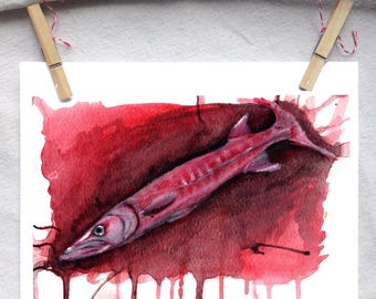 Red Barracuda art print of an original watercolor by Lindsey Munson