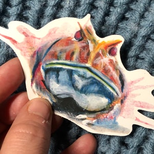 Albino Pacman Frosch Sticker / Frosch Sticker / Pac-Man Frosch Sticker / exotische Tierkunst / Amphibien Kunstwerk / Tier Sticker / Natur Kunstwerk