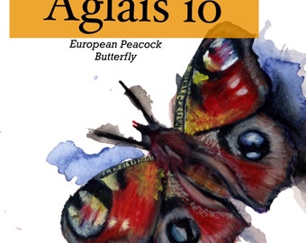European Peacock Butterfly Art Print | Colorful Insect Nature Illustration