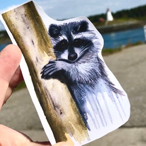 Raccoon Art Sticker / Raccoon Art Print / Forest Animal Art / Camping Art / Waterbottle Art / Artist Stickers / Science Gift / Watercolor