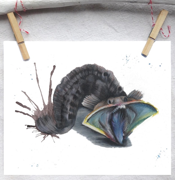Sarcastic Fringehead Fish Print Fish Art Unique Fish - Etsy