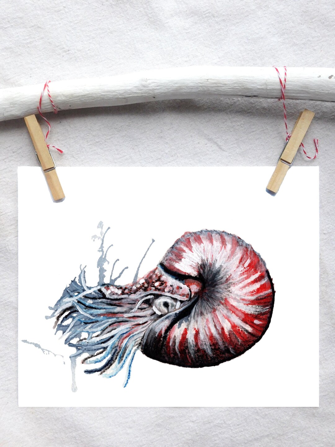Ocean Animal Wall Art Ocean Themed Wall Decor Sea Life Prints Beach
