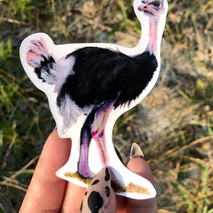 Struisvogel sticker | Struisvogel kunst | Struisvogel print | Vogelsticker | Been dag sticker | Laptop sticker | wildlife stickers | Struisvogel sticker kunst