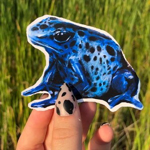 Frog Weatherproof Sticker / Frog Art Print / Poison Dart Frog Sticker / Laptop Sticker / Car Sticker / Scrapbook sticker