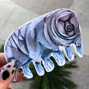 Tardigrade Sticker / Water Bear Sticker / Tardigrade Art Print / Tardigrade Decor / Biology Art / Science Stickers / Laptop Stickers