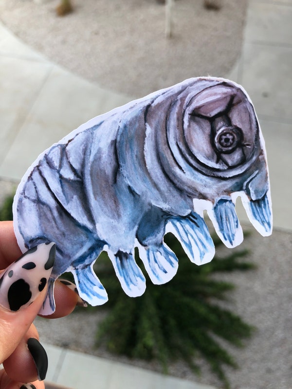 Tardigrade water Bear Crochet Pattern PDF Etsy Canada