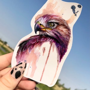 Hawk Sticker / Laptop Sticker / Bird sticker / Regalos para niños / adhesivo resistente a la intemperie / pegatina de colores