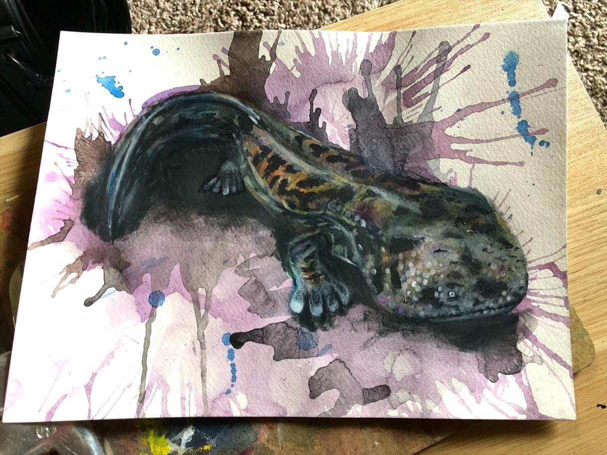 Giant Salamander Drawing