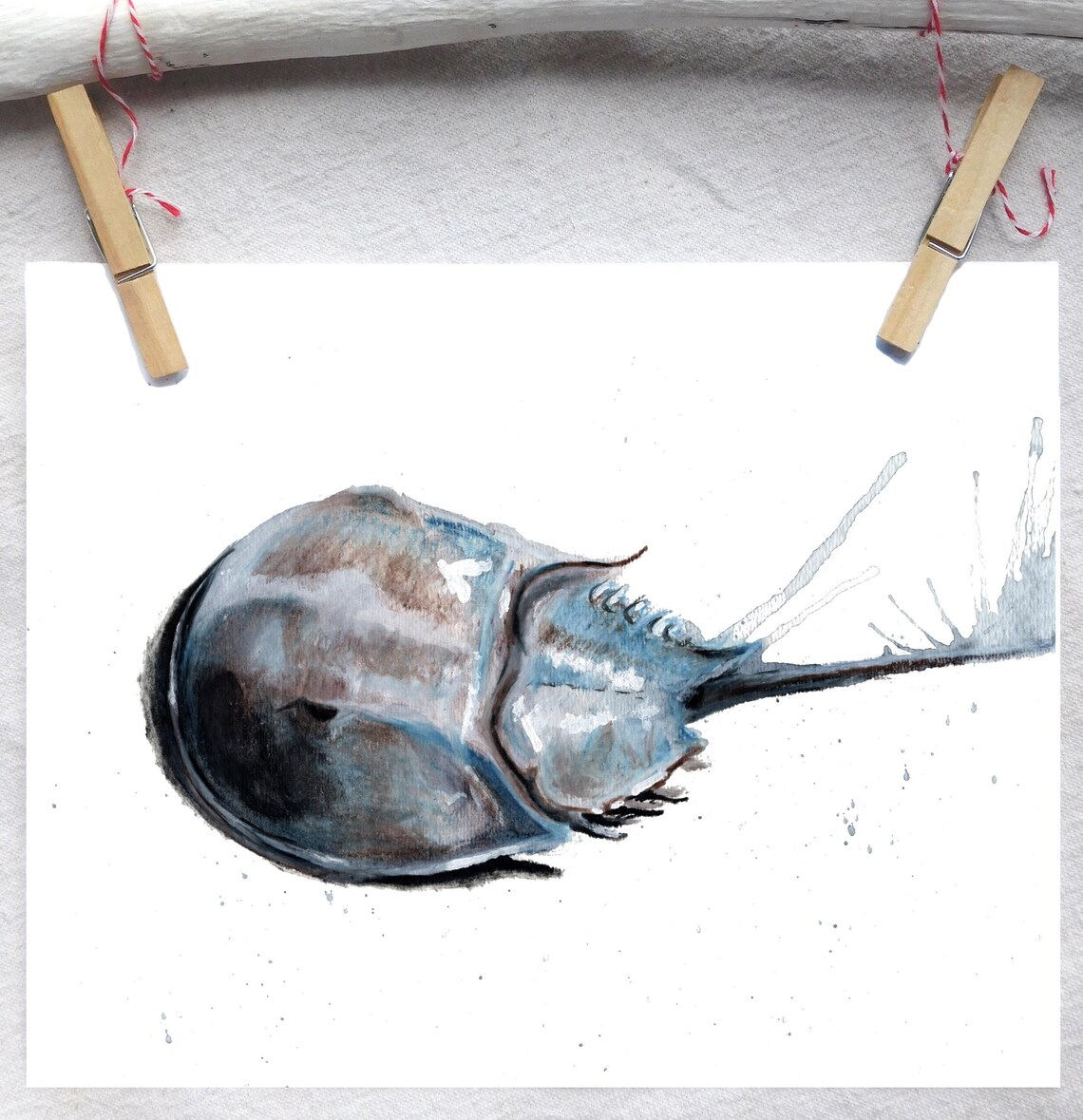 Horseshoe Crab Art Print Watercolor horseshoe Crab Art Etsy