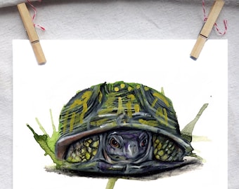Impression d'art en colère de tortue-boîte de l'est d'oeuvres d'art aquarelle originales