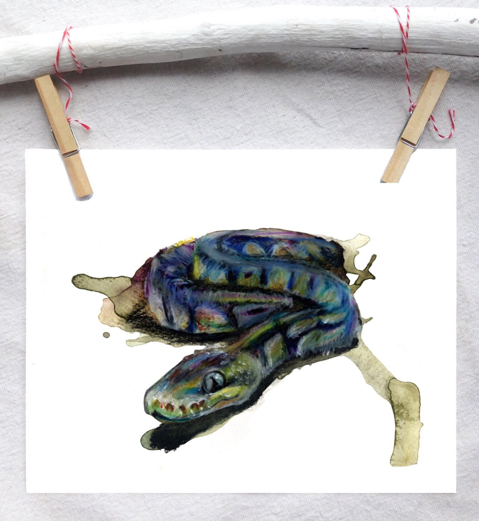 Ball Python Art Print - Etsy