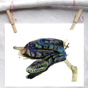 Puede incluir: Una pintura de acuarela de una serpiente azul y verde con vientre amarillo. La serpiente está enroscada en una rama con un fondo blanco.