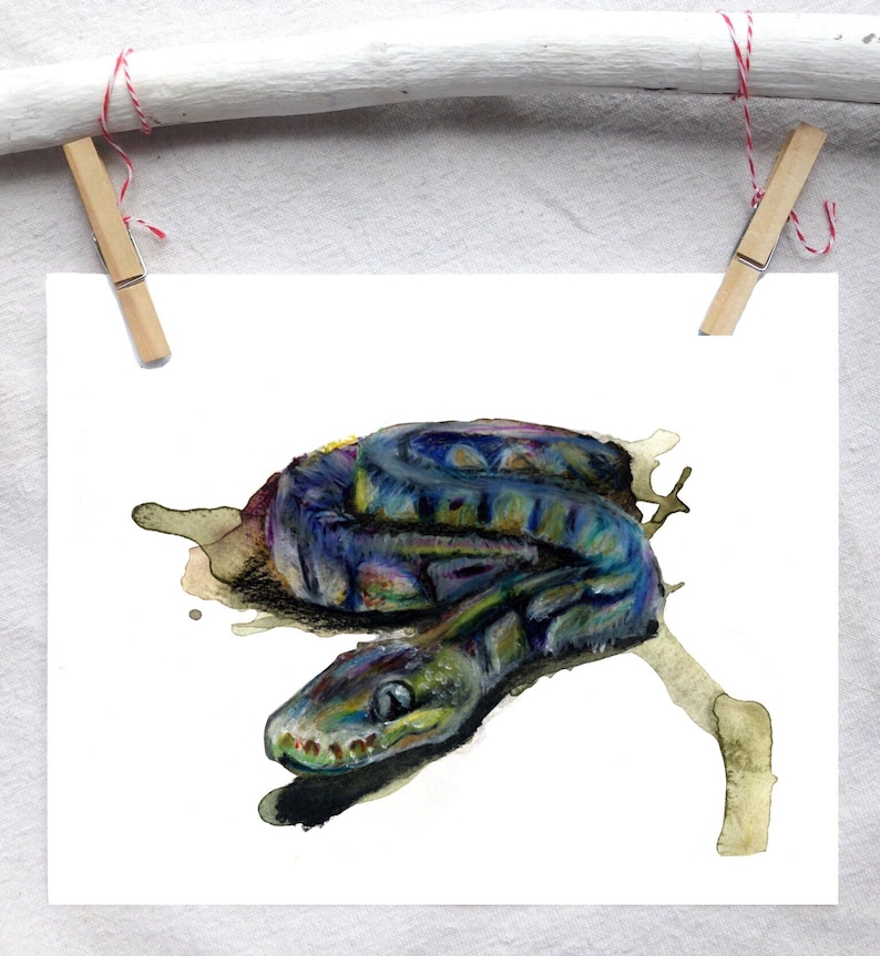 Peut inclure: Une peinture &agrave; l'aquarelle d'un serpent bleu et vert avec un ventre jaune. Le serpent est enroul&eacute; sur une branche sur un fond blanc.