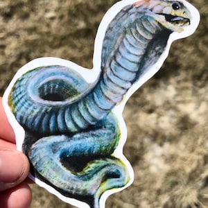 Pegatina con diseño de cobra real