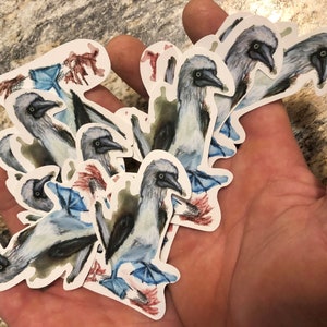 Sticker fou à pattes bleues | Art d'oiseau fou | décor d'oiseau | autocollants d'art océanique | portrait d'oiseau | cadeau d'observation des oiseaux | autocollant résistant aux intempéries