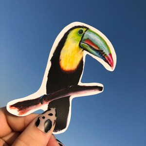 adesivo do Tucano | pássaro adesivo | arte de Toucan Adesivo | Decoração Tucano | Pássaro colorido adesivo | adesivo colorido | Adesivo de carro | Arte Tropical