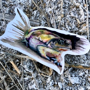 Cane Toad Sticker | wetterfeste Sticker | Künstlersticker | TierSticker | Bullet Journal | Planer Sticker | Natur Kunst