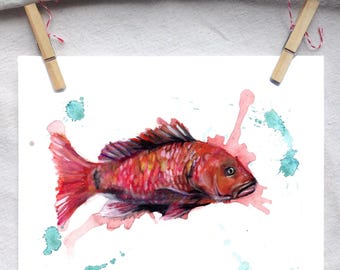 Könnte beinhalten: Aquarellmalerei eines rot-orangen Fisches mit türkisfarbenen und rosa Aquarellspritzern. Der Fisch ist detailliert mit sichtbaren Schuppen und Flossen. Das Kunstwerk ist auf weißem Papier befestigt und wird von zwei Holzklammern gehalten.