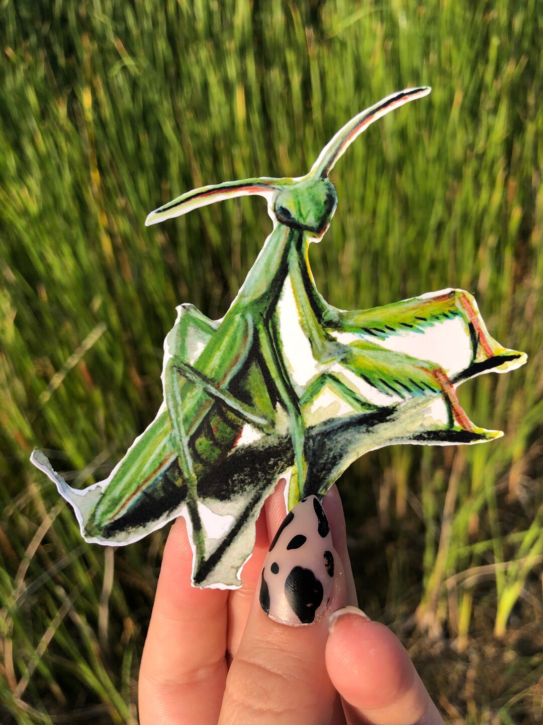 Praying Mantis Sticker | Waterbottle Sticker | Weatherproof Sticker ...