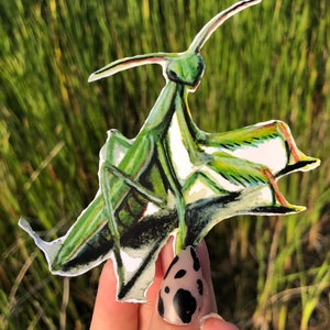 Pegatina de mantis de oración / Pegatina de waterbottle / Pegatina a prueba de intemperie / Pegatinas de insectos / Regalo de ciencia / Scrapbooking / Pegatinas para niños