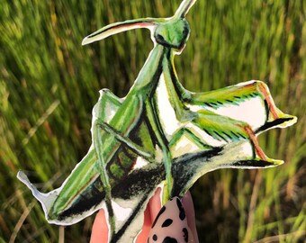Praying Mantis Sticker | Weatherproof Insect Art