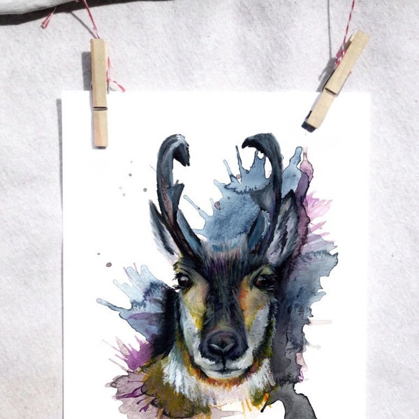 Pronghorn antelope art print