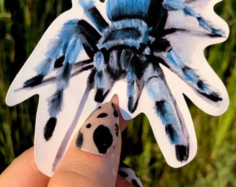Blue Tarantula Sticker | Weatherproof Spider Art Decal