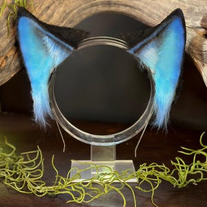 Blue Cat Ears