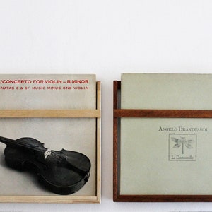 May include: Two vinyl record albums displayed in wooden frames. The album on the left features a black and white image of a violin. The album on the right features a light green cover with the text "ANGELO BRANDUARDi" and "La Demoselle".