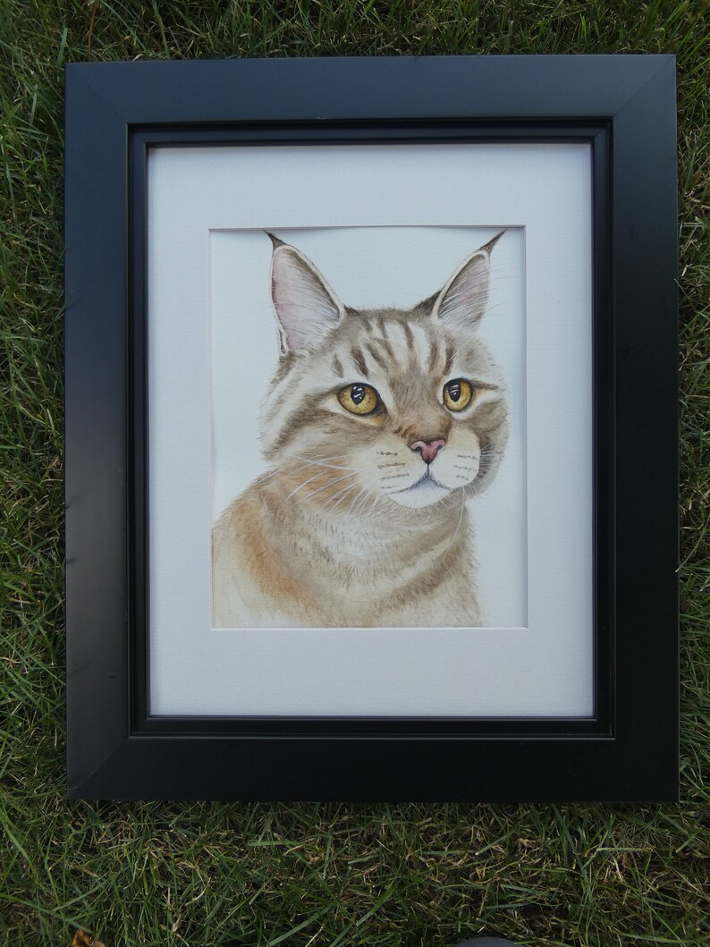 A Furry Friend Cat Water Color Painting