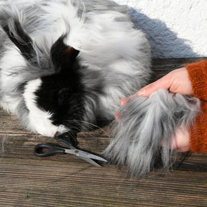 Natural gray. 50g German angora raw fiber hand clipped. Pure angora. image 7