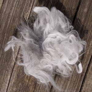 Natural gray. 50g German angora raw fiber hand clipped. Pure angora. image 2