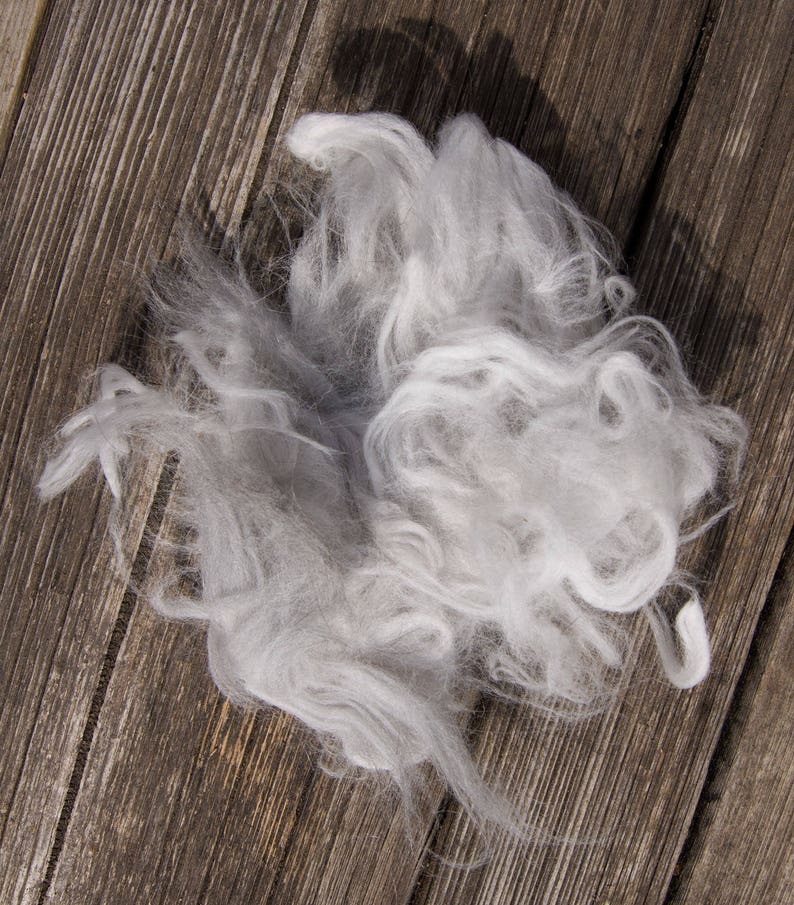 Natural gray. 50g German angora raw fiber hand clipped. Pure angora. image 2