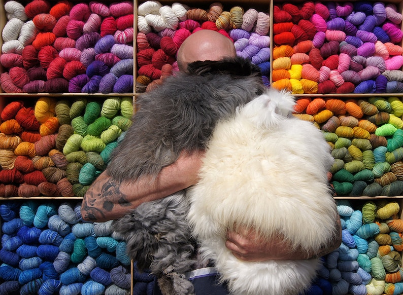 Angora PURE LACE Homegrown Bunny Yarn from Our Own Rabbitry Lace Yarn. Seidenhase Dark Brown