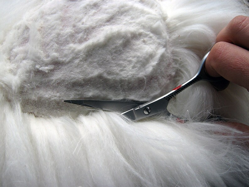 May include: Close-up of a pair of silver scissors cutting white fur. The scissors have a red accent on the handle.
