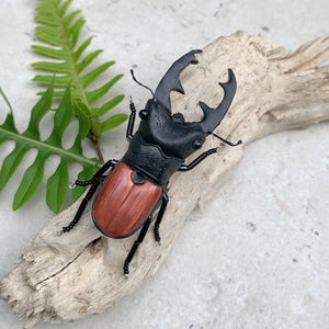May include: A stag beetle sculpture featuring a textured matte black head and thorax with large, prominent mandibles. The wing covers are a smooth, reddish-brown wood-like finish. The insect has six thin, black, articulated legs with small bead details.