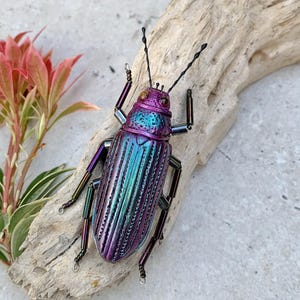 Darkling beetle brooch