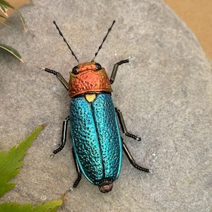 jewel beetle pin brooch