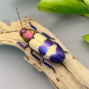 jewel beetle large brooch
