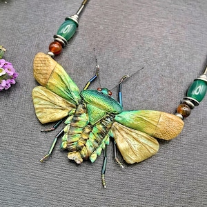 Peut inclure: Un collier avec un grand pendentif en forme d'insecte aux reflets verts et dorés et aux ailes texturées. La chaîne se compose de fins segments métalliques alternés avec des perles ovales vertes lisses et des perles sphériques brunes.