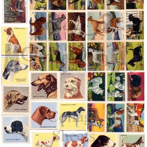 Hunderassen digitaler Download Collage Sheet