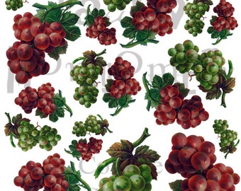 Grapes Digital Download Collage Sheet