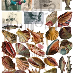 By the Sea Number 2 Digital Download Collage Sheet