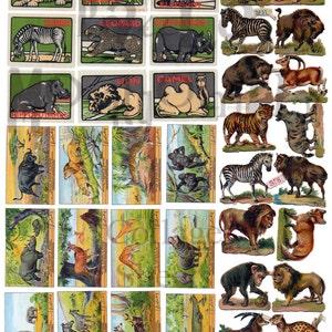 Wild Animals Number 1 Digital Download Collage Sheet
