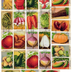 Vintage French Vegetable Seed Packets Number 1 Digital Download Collage Sheet