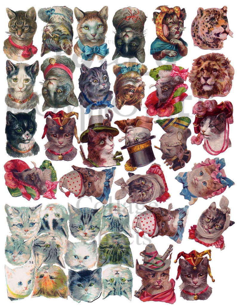 Large Cat Heads Number Digital Download Collage Sheet Etsy